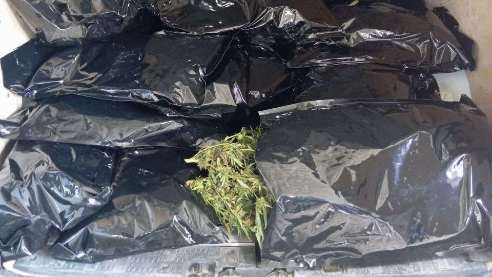 Spektakulärer Drogenfund auf der A43 bei Dülmen: Polizei stoppt Kleintransporter voller Cannabis und nimmt Fahrer fest.