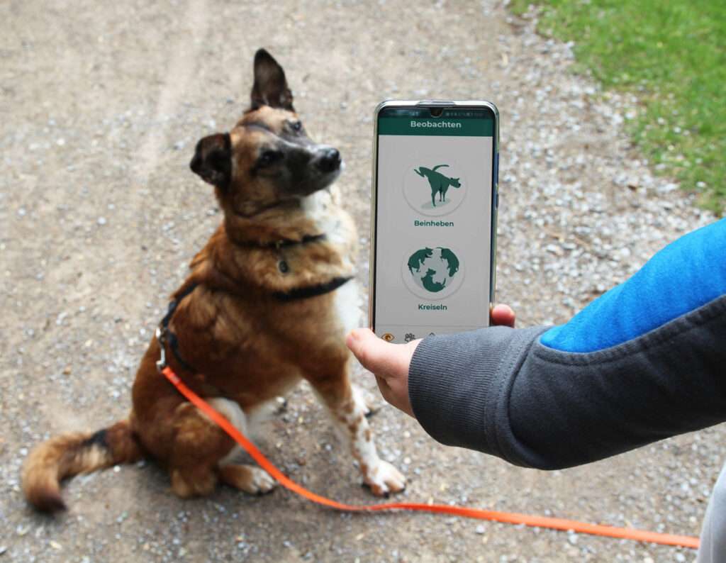 Die WAU-App für Hunde ist Teil eines Forschungsprojekts der Uni Münster. Bürger können Daten zum Verhalten ihrer Hunde beisteuern.