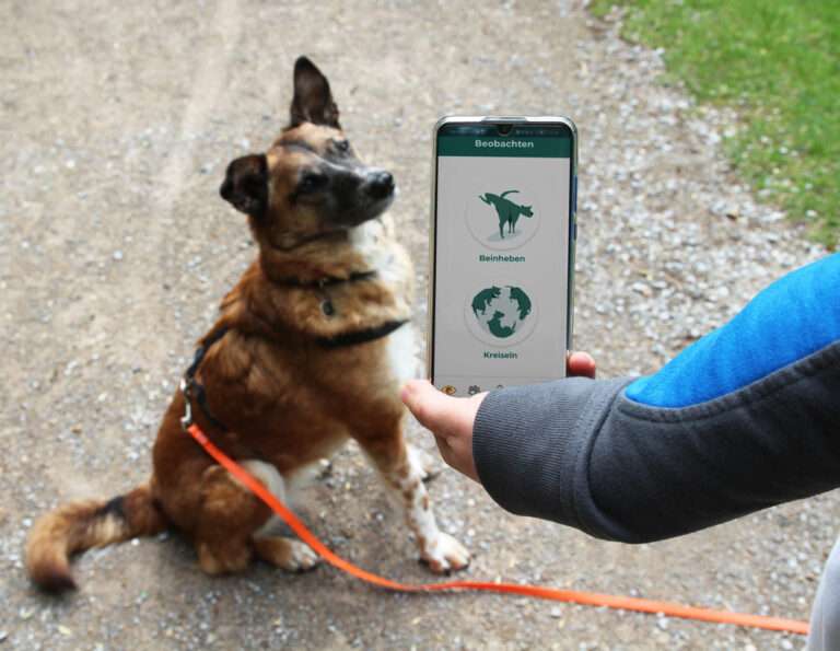 Die WAU-App für Hunde ist Teil eines Forschungsprojekts der Uni Münster. Bürger können Daten zum Verhalten ihrer Hunde beisteuern.