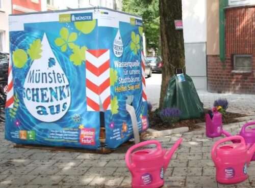 Münster kämpft gegen die Auswirkungen des Klimawandels: Mit der Aktion „Münster schenkt aus“ können Bürger aktiv zum Klimaschutz beitragen,