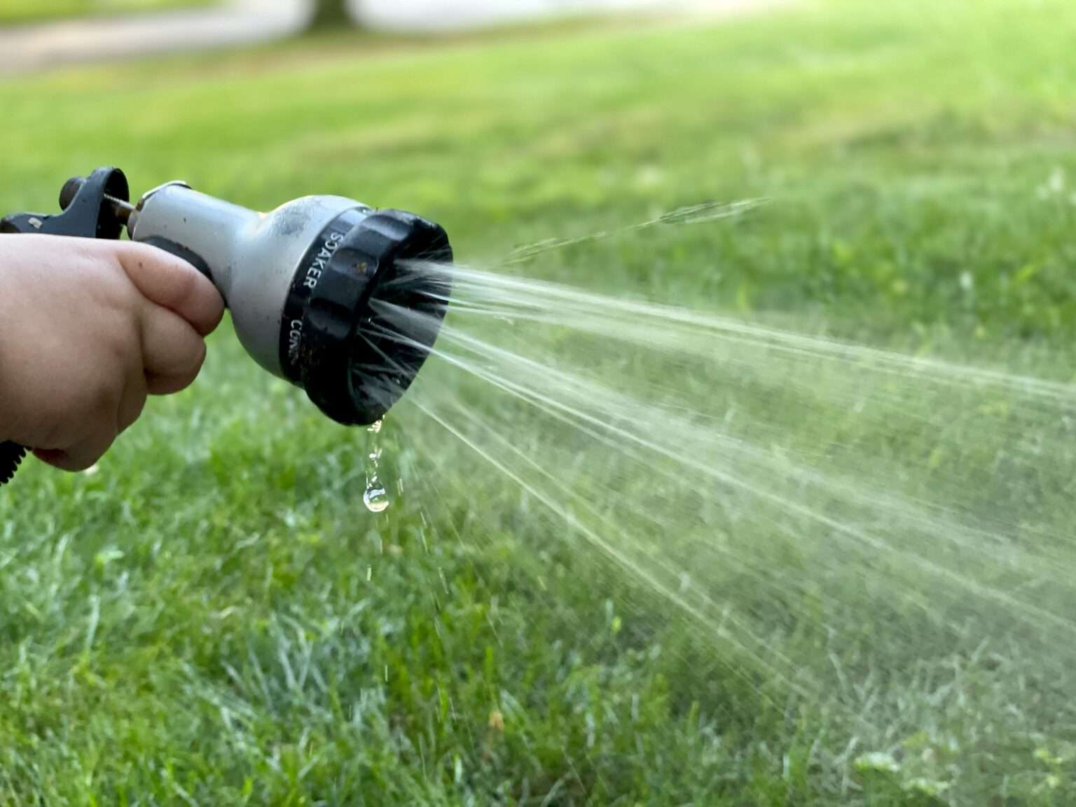 Dürre in Münster: Kann das Gießen im Garten bald verboten werden? Warum Wasser knapp wird, was erlaubt bleibt