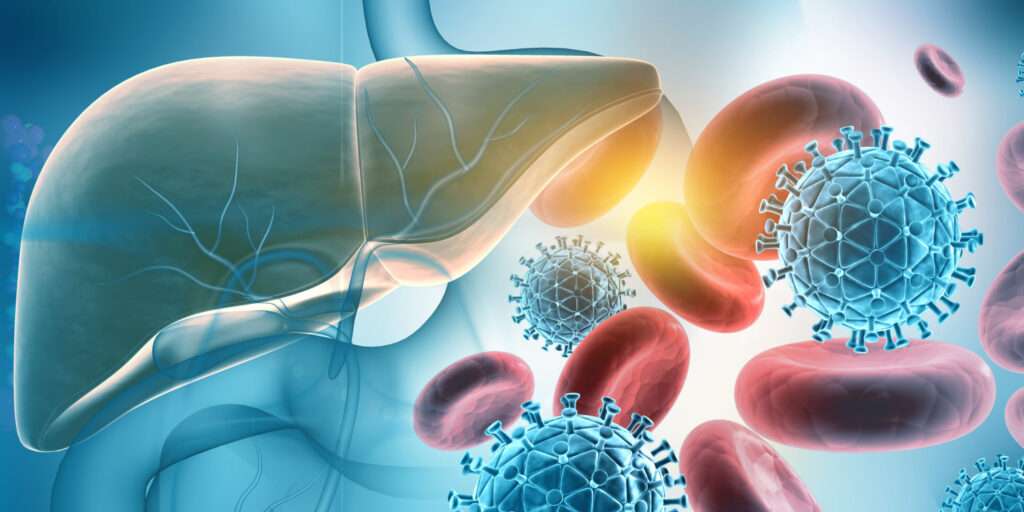 Am 28. Juli ist Welt-Hepatitis-Tag 2025. Die Universität Münster forscht an neuen Therapien und ruft zur Vorsorge auf.
