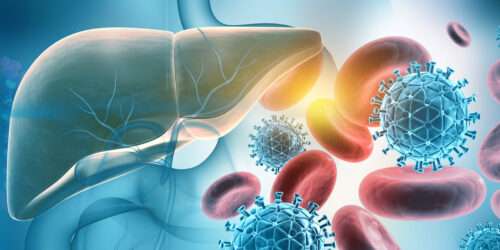 Am 28. Juli ist Welt-Hepatitis-Tag 2025. Die Universität Münster forscht an neuen Therapien und ruft zur Vorsorge auf.