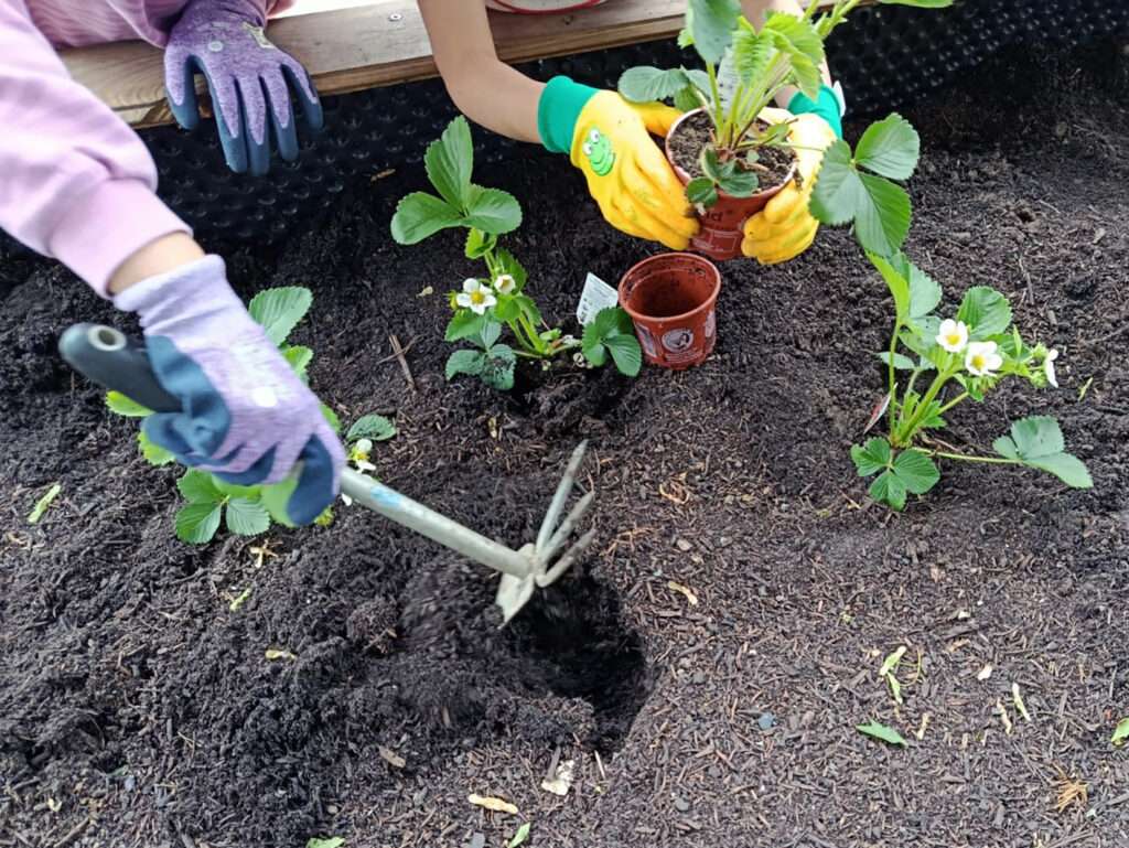 Münster fördert acht kreative Projekte für mehr Bewegung, Ernährung und Gesundheitswissen. Gesundheit in der nachhaltigen Stadt erreicht neue Zielgruppen.