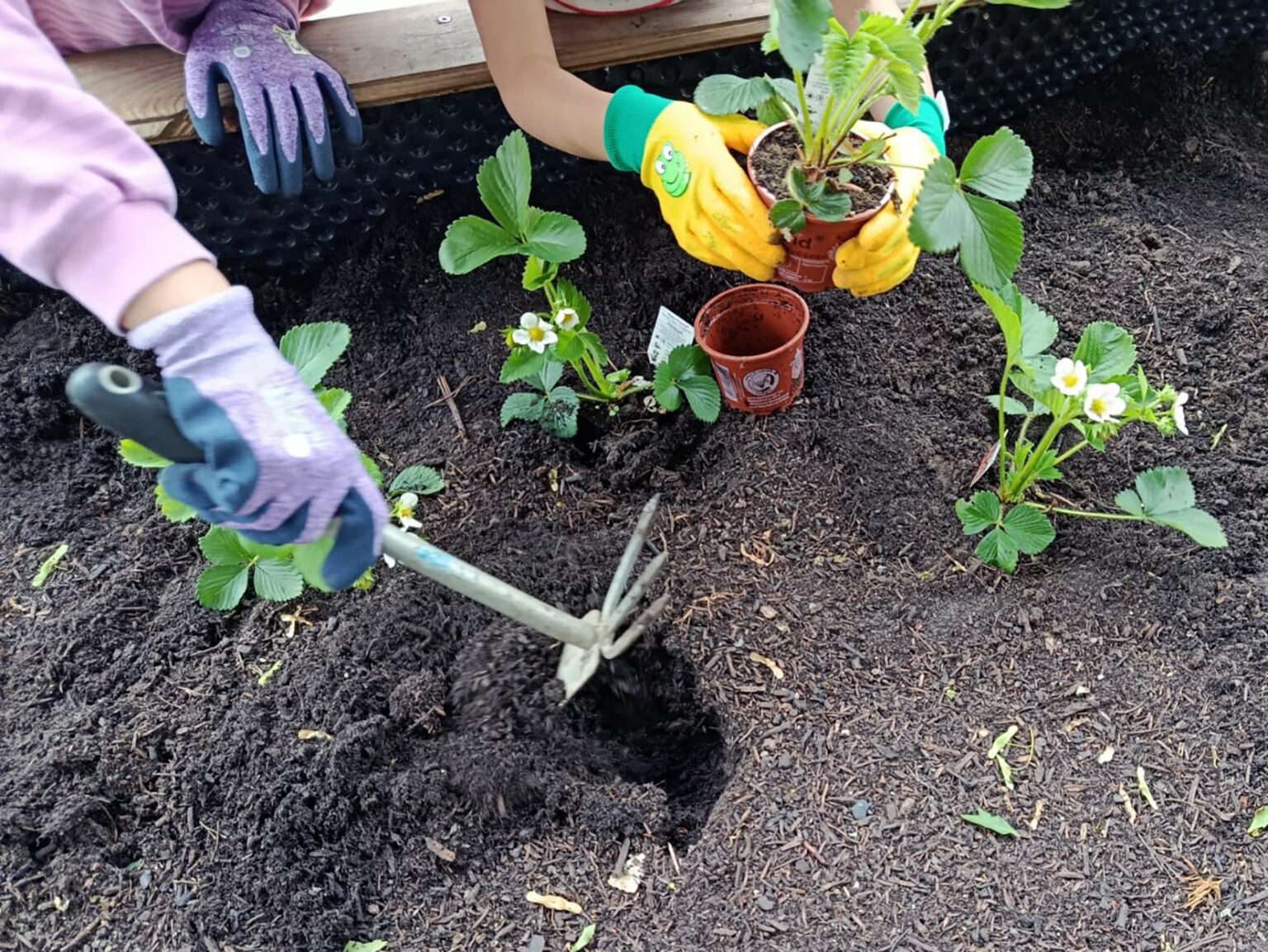 Münster fördert acht kreative Projekte für mehr Bewegung, Ernährung und Gesundheitswissen. Gesundheit in der nachhaltigen Stadt erreicht neue Zielgruppen.