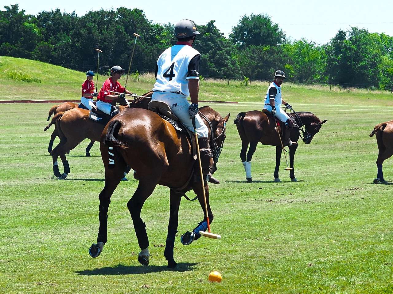 Das Polo Picknick 2025 in Münster kombiniert Picknick, Beachclub-Atmosphäre und internationalen Polosport – jetzt alle Infos sichern!