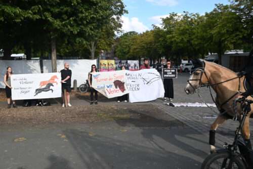Demonstration gegen das Turnier der Sieger in Münster: Aktivisten kritisieren Reitsport, Tierleid und städtische Zuschüsse – Proteste auch am Wochenende geplant.