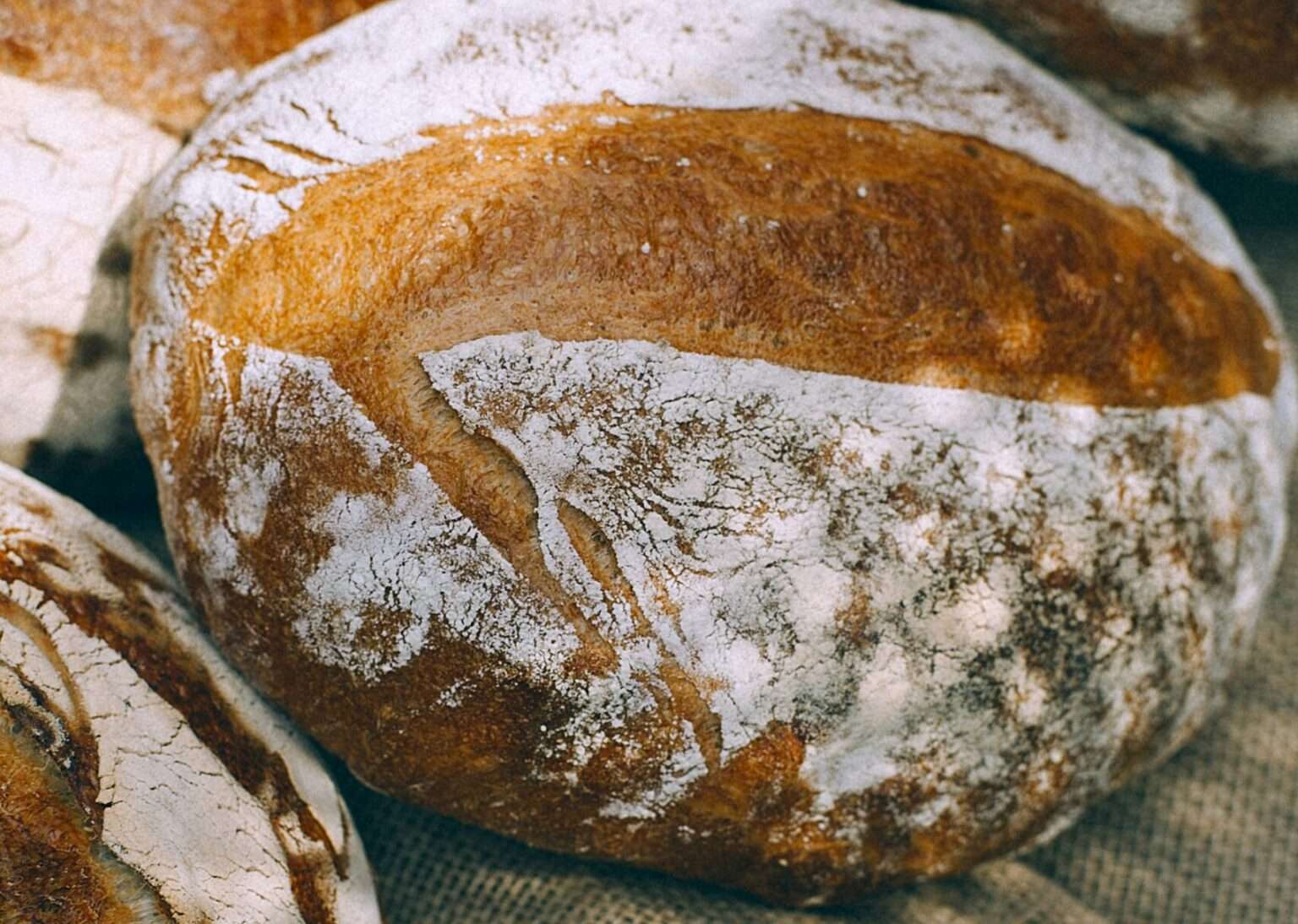 Demokratie schmeckt mir“: In Münster startet eine Brötchentüten-Aktion von Bistum, Caritas, BDKJ und Bäckerei Krimphove. Ziel ist es, zur Kommunalwahl am 14. September zu motivieren.