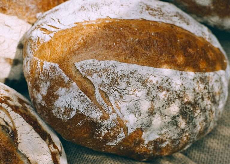 Demokratie schmeckt mir“: In Münster startet eine Brötchentüten-Aktion von Bistum, Caritas, BDKJ und Bäckerei Krimphove. Ziel ist es, zur Kommunalwahl am 14. September zu motivieren.