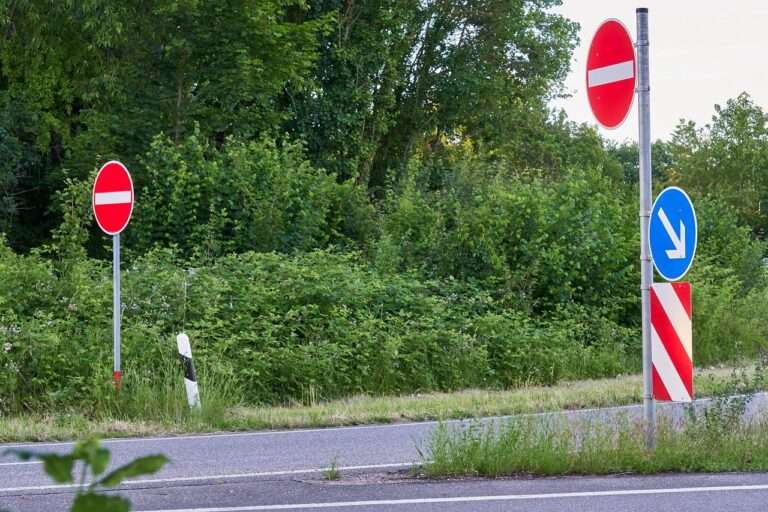 Die OB-Kandidaten für die Kommunalwahl 2025 in Münster beziehen Stellung zum geplanten Ausbau der B51. Ihre Positionen im Wortlaut.