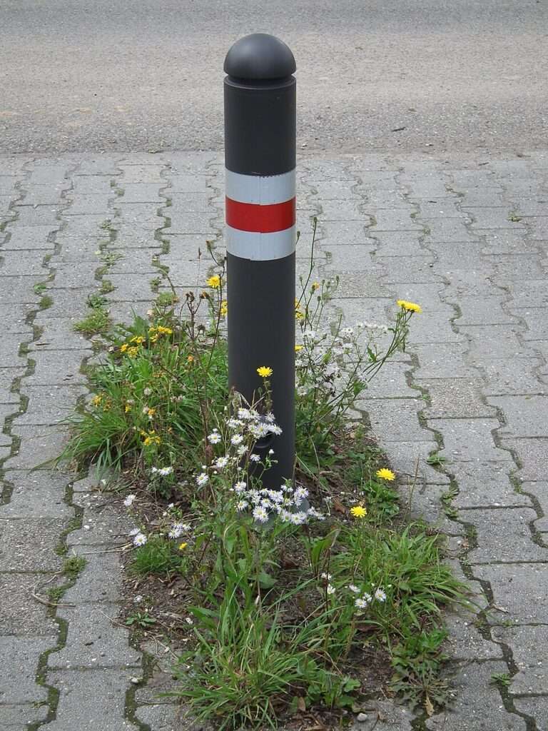 Poller-Erlass Münster: An der Kanalpromenade in Hiltrup wurden Poller entfernt. Anwohner kritisieren die neue Situation, die Stadt verweist auf Unfallgefahren.