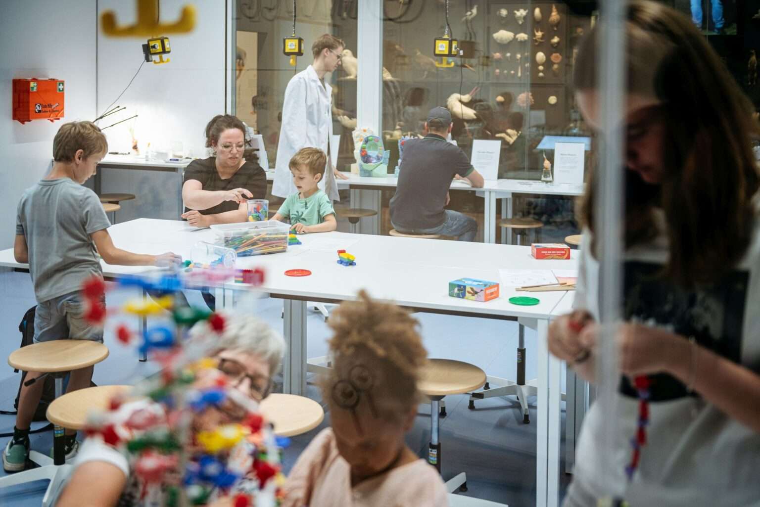 Beim „Großen Schlämmen“ Münster entdecken Besucher im LWL-Museum Fossilien selbst. Ferienaktionen und Workshops laden zum Mitmachen ein.