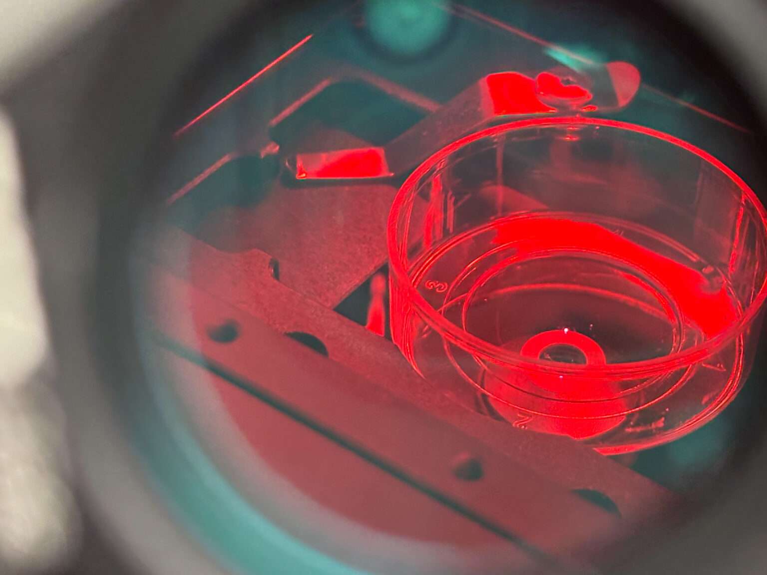 Die FH Münster erforscht mit dem Projekt „NanoDetect“ neue Wege in der Krebsdiagnostik mit Nanodiamanten.