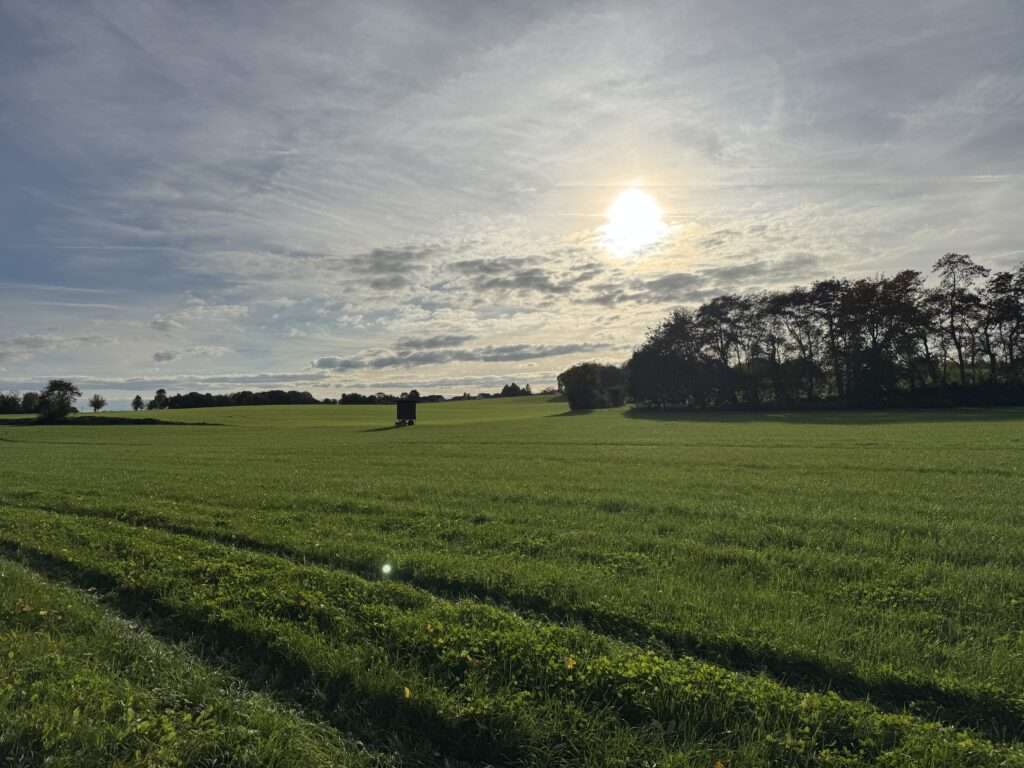 Wechselhaft bis windig: Münster erlebt typisches Herbstwetter in der Ferienwoche