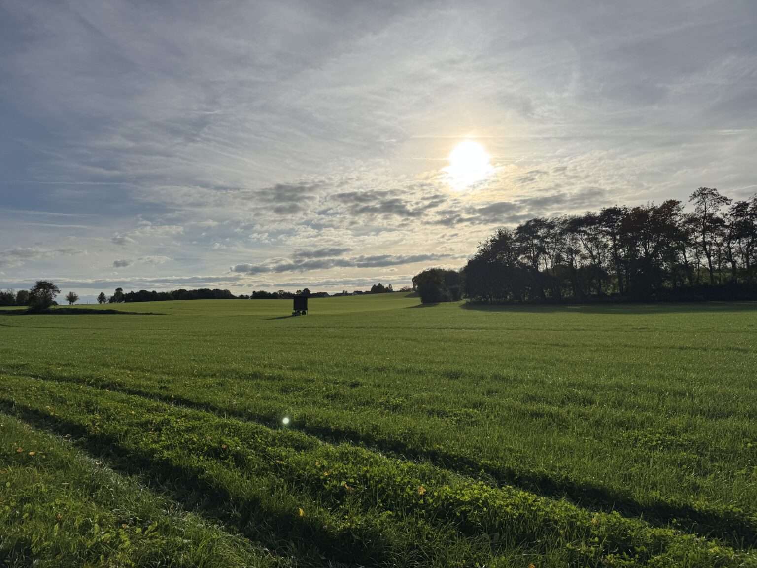 Wechselhaft bis windig: Münster erlebt typisches Herbstwetter in der Ferienwoche