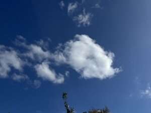 Kraniche über Münster: Zugvögel auf dem Weg nach Süden