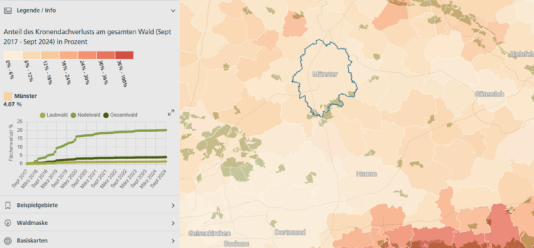 Wie gesund ist der Wald in Münster?