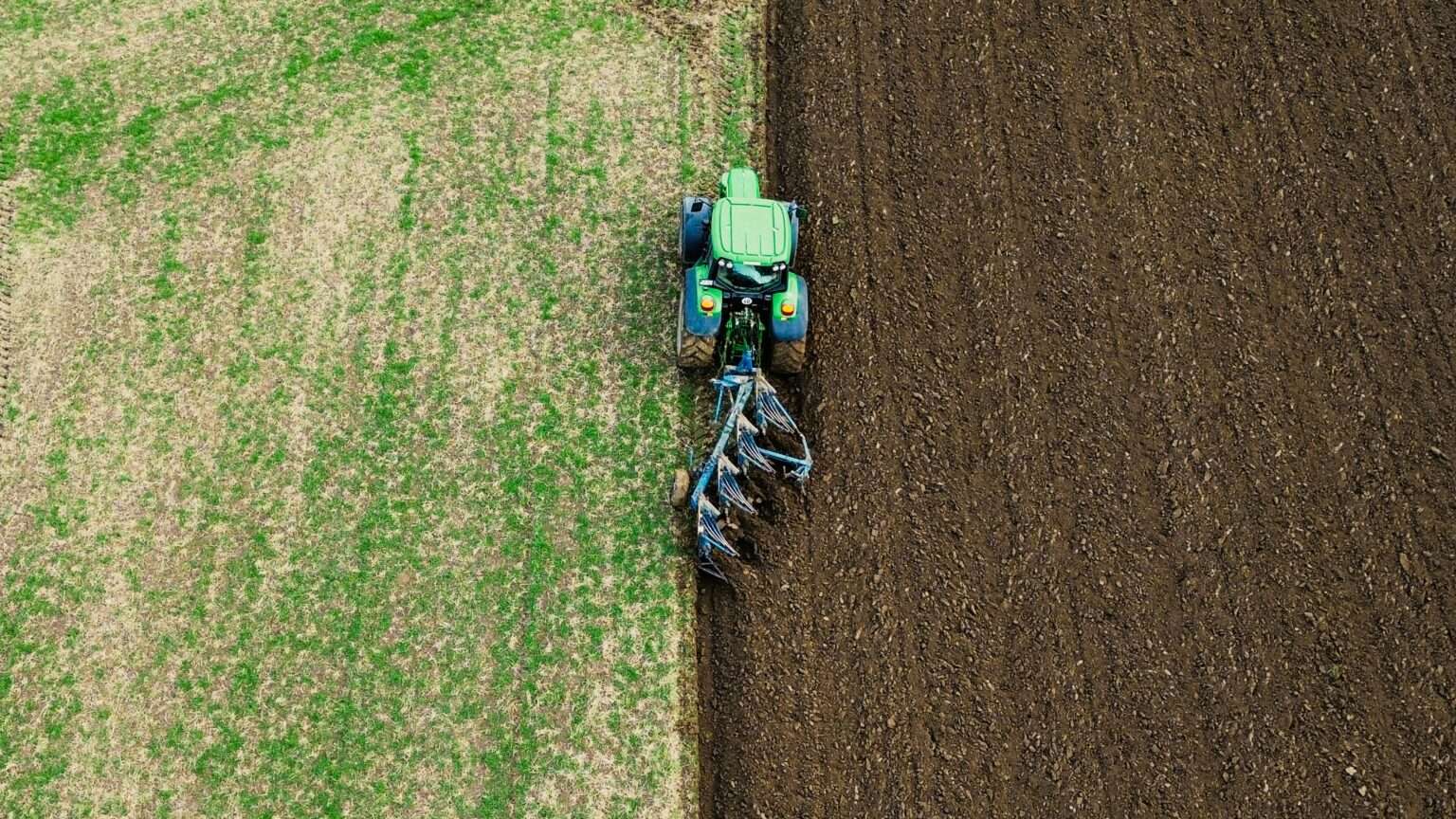 Münster: Forscher entdecken neuen Mechanismus gegen Salzstress bei Pflanzen
