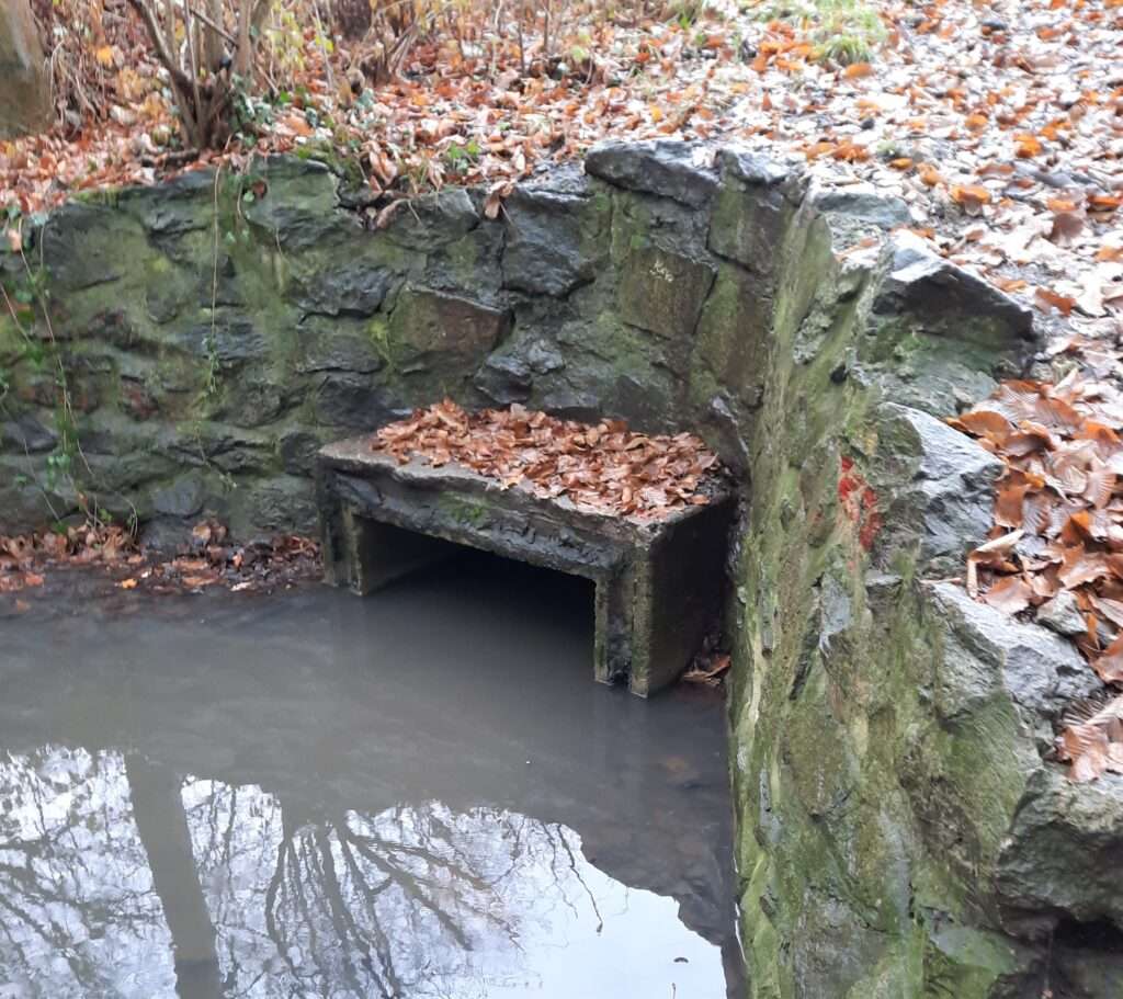 In Münster-Gremmendorf startet am 12. November die Renaturierung des Vornholtgrabens. Ziel: Natürlicher Bachlauf, Hochwasserschutz und neue Lebensräume.