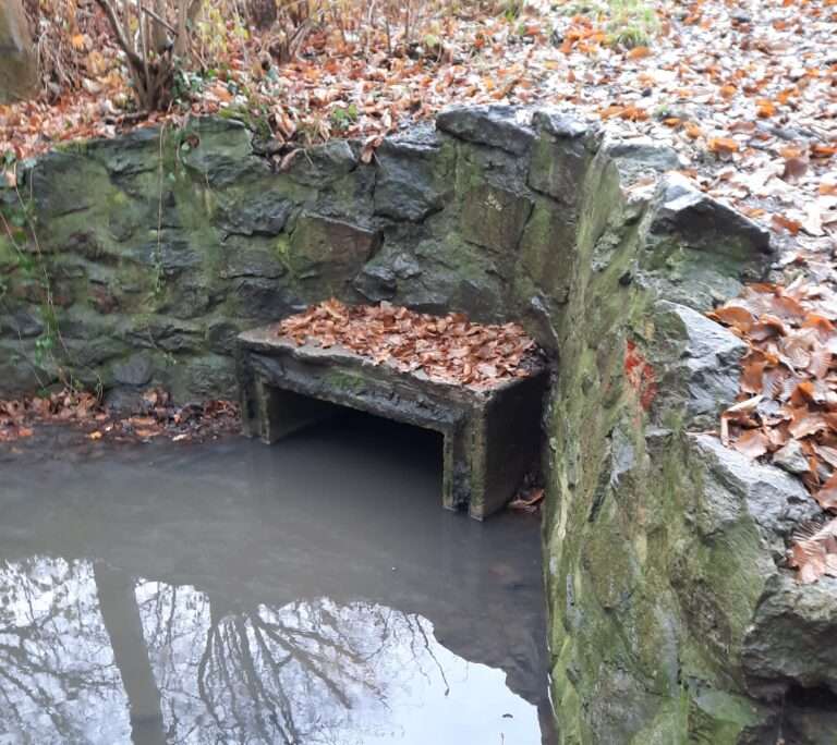 In Münster-Gremmendorf startet am 12. November die Renaturierung des Vornholtgrabens. Ziel: Natürlicher Bachlauf, Hochwasserschutz und neue Lebensräume.