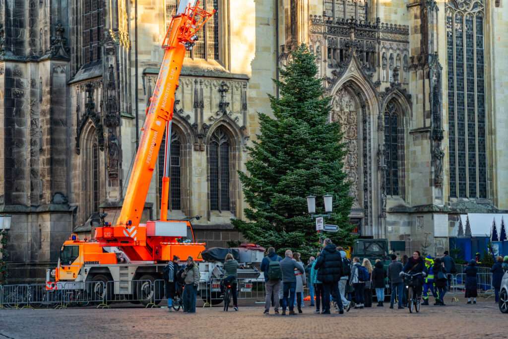 Die neue Weihnachtstanne aus Hiltrup steht auf dem Lambertikirchplatz und eröffnet Münsters Adventssaison.