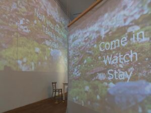 Der „Garten des Widerstands“ bringt performative Kunst ins Krameramtshaus in Münster und verbindet Ausstellung, Installation und Live-Performance.