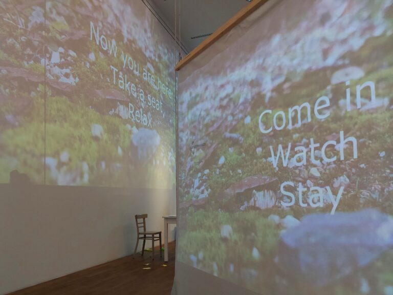 Der „Garten des Widerstands“ bringt performative Kunst ins Krameramtshaus in Münster und verbindet Ausstellung, Installation und Live-Performance.