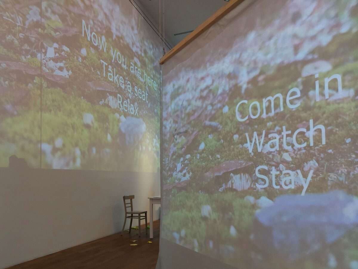 Der „Garten des Widerstands“ bringt performative Kunst ins Krameramtshaus in Münster und verbindet Ausstellung, Installation und Live-Performance.