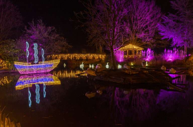 auche ein in die magische Welt der XMAS LIGHTS im Allwetterzoo Münster. Genieße faszinierende Lichtshows und audio-visuelle Kunstwerke, die die Winternächte in ein funkelndes Spektakel verwandeln.