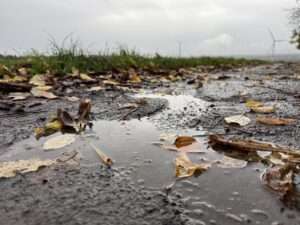 Klimarisiko 2050: Münster gehört bundesweit zu den widerstandsfähigsten Städten