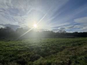 Nach mildem Start: Wetter in Münster kippt deutlich