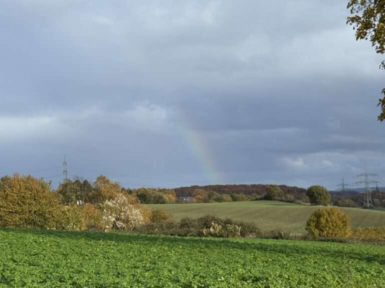 Das Wetter in Münster startet kühl und wechselhaft ins Wochenende. Danach steigen die Temperaturen deutlich – doch neue Gewitter drohen.