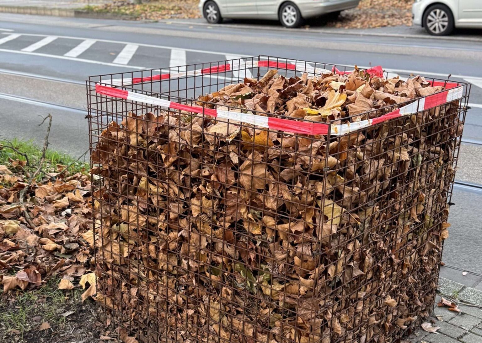 Münster erklärt die Regeln zur Laubkehrpflicht und zeigt, wer Gehwege reinigen und Laub entsorgen muss.