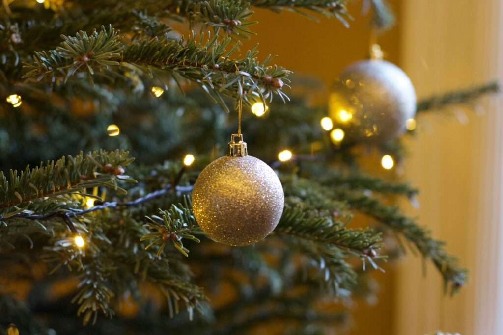 Wo Münsteraner 2025 ihren Weihnachtsbaum finden, was er kostet und welche Rolle Nachhaltigkeit spielt. Aktuelle Infos zu Qualität, Pflege und Herkunft.