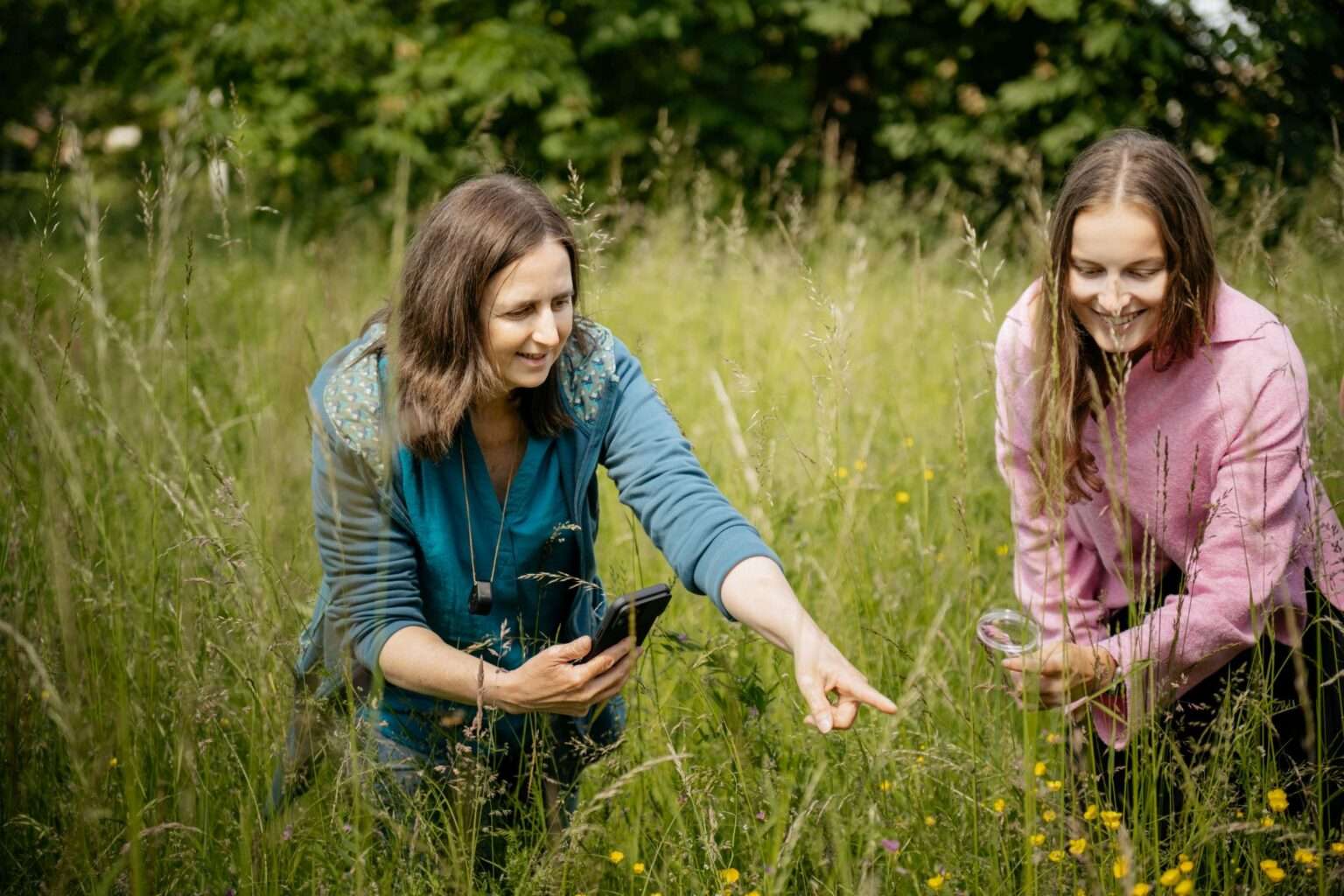 Über 5,6 Millionen Naturbeobachtungen: Die Arten-Olympiade 2025 liefert neue Daten zur Artenvielfalt in Deutschland, Österreich und der Schweiz.