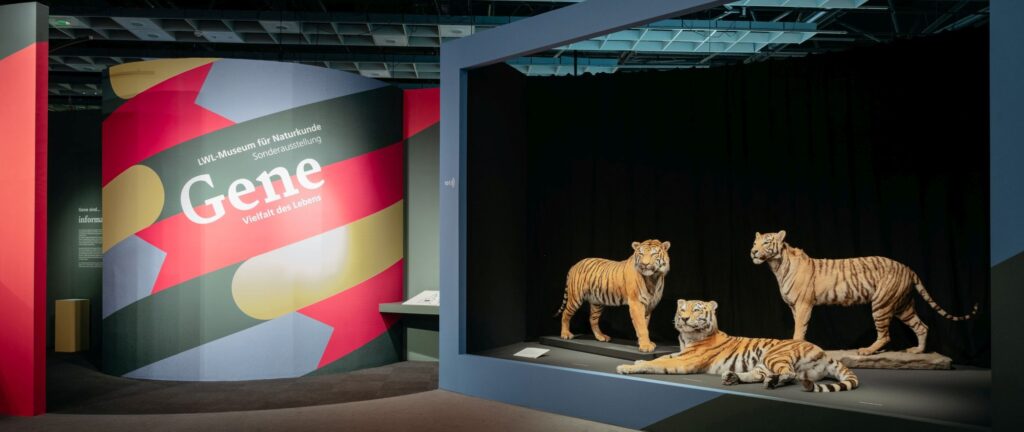 Welche Ausstellungen zeigt der LWL 2026 in Münster? Überblick zu Kunst, Naturkunde, Familienangeboten und neuen Museumsschwerpunkten.