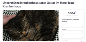 Krankenhauskater Oskar sorgt am Herz-Jesu-Krankenhaus in Münster-Hiltrup für Diskussionen. Eine Petition fordert seinen Verbleib.