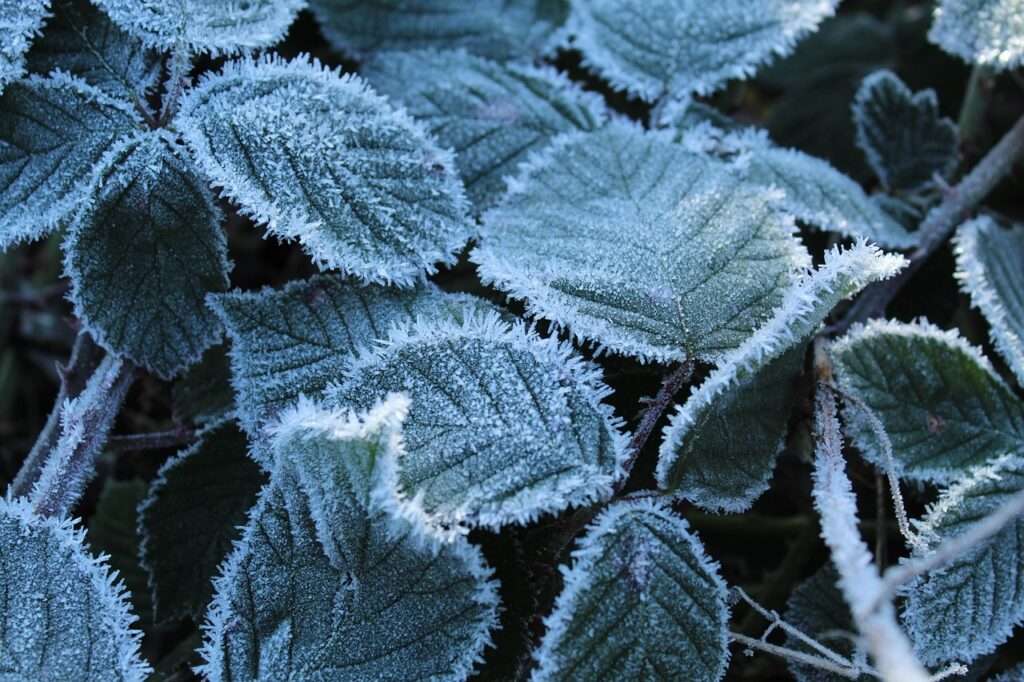 Glatteis sorgt für Unfälle in Ostwestfalen und dem Münsterland