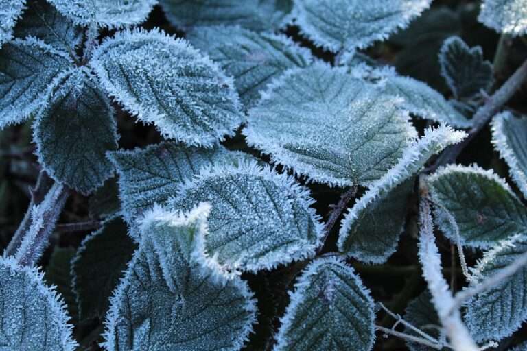 Glatteis sorgt für Unfälle in Ostwestfalen und dem Münsterland