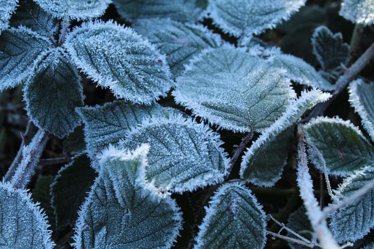Glatteis sorgt für Unfälle in Ostwestfalen und dem Münsterland