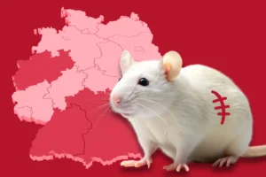 Tierversuche 2024: Münster rückt bundesweit in den Fokus