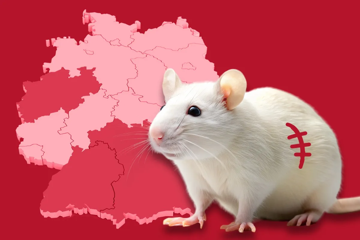 Tierversuche 2024: Münster rückt bundesweit in den Fokus