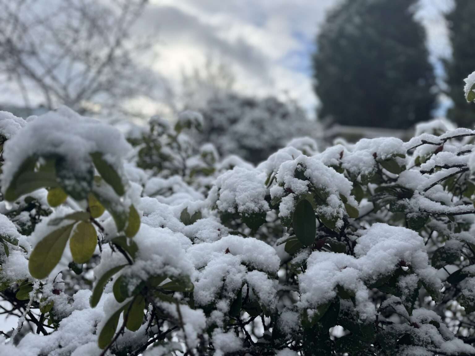 Frost und Glätte prägen den Wochenstart in NRW und Münster. Wie sich das Winterwetter am Montag und Dienstag entwickelt.
