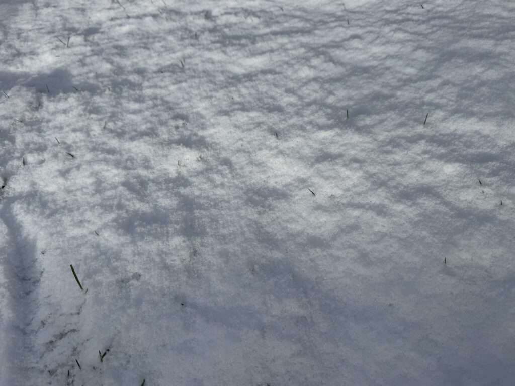 Das Bundesliga-Spiel zwischen St. Pauli und RB Leipzig am Millerntor ist wegen Schneefalls abgesagt worden. Gründe, Folgen und Infos zur Nachholung im Überblick.