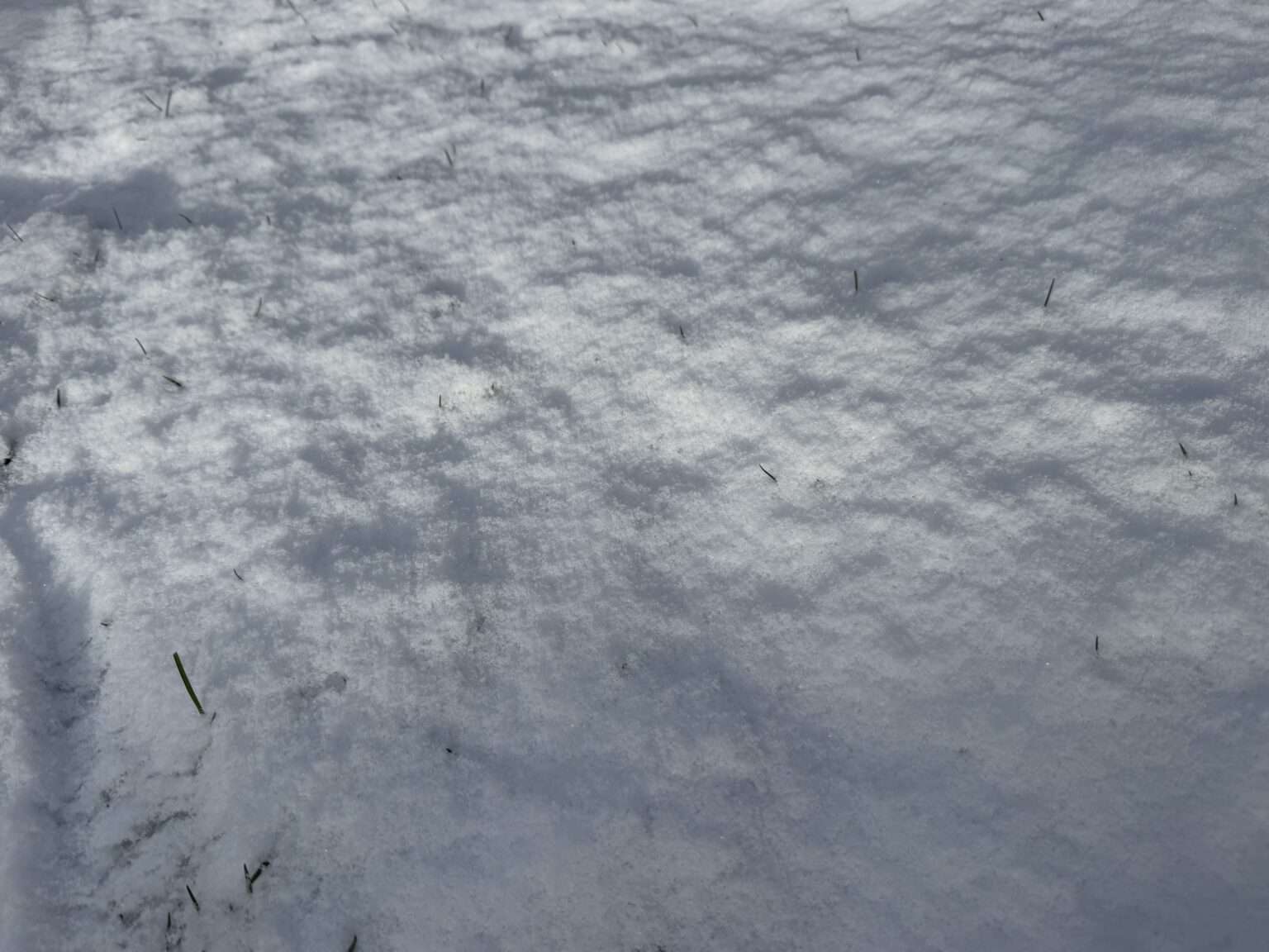 Das Bundesliga-Spiel zwischen St. Pauli und RB Leipzig am Millerntor ist wegen Schneefalls abgesagt worden. Gründe, Folgen und Infos zur Nachholung im Überblick.