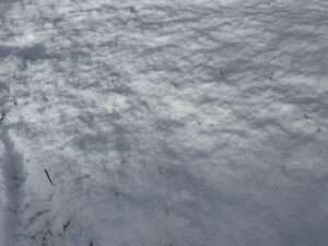 Das Bundesliga-Spiel zwischen St. Pauli und RB Leipzig am Millerntor ist wegen Schneefalls abgesagt worden. Gründe, Folgen und Infos zur Nachholung im Überblick.