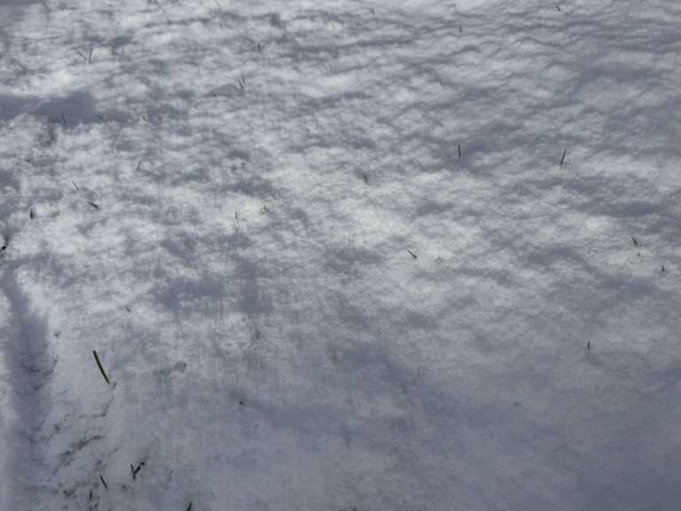 Das Bundesliga-Spiel zwischen St. Pauli und RB Leipzig am Millerntor ist wegen Schneefalls abgesagt worden. Gründe, Folgen und Infos zur Nachholung im Überblick.