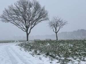 Bleibt der Schnee? So entwickelt sich das Wetter in Münster