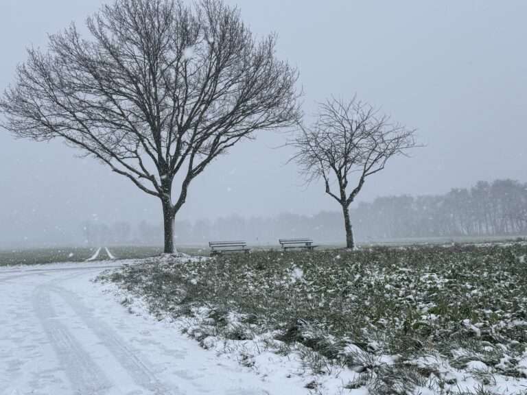 Bleibt der Schnee? So entwickelt sich das Wetter in Münster