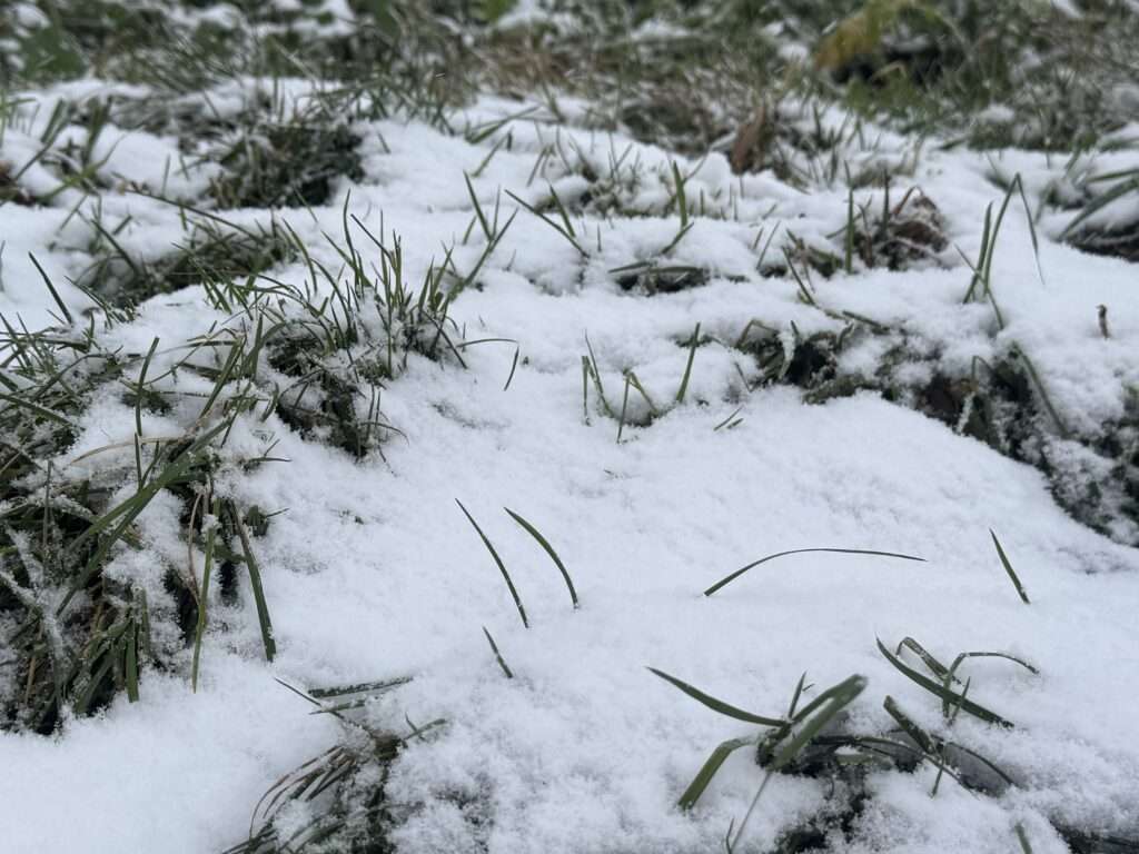 Wintereinbruch in Münster: Schnee und Glätte kurz vor Rosenmontag 2026 – aktuelle Lage für Münster und NRW.